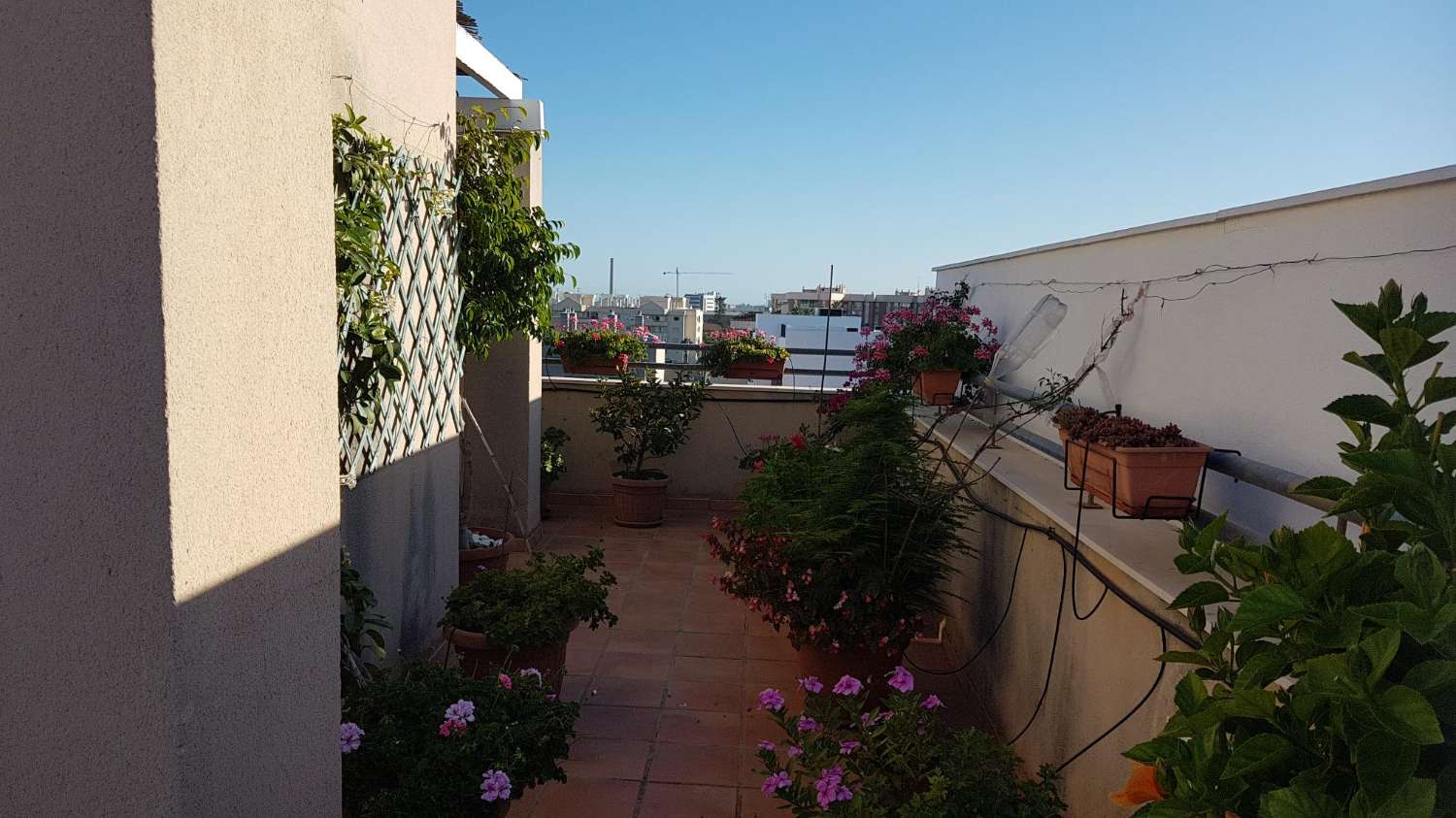Storslått penthouse 200 m fra Poniente -stranden i Málaga hovedstad