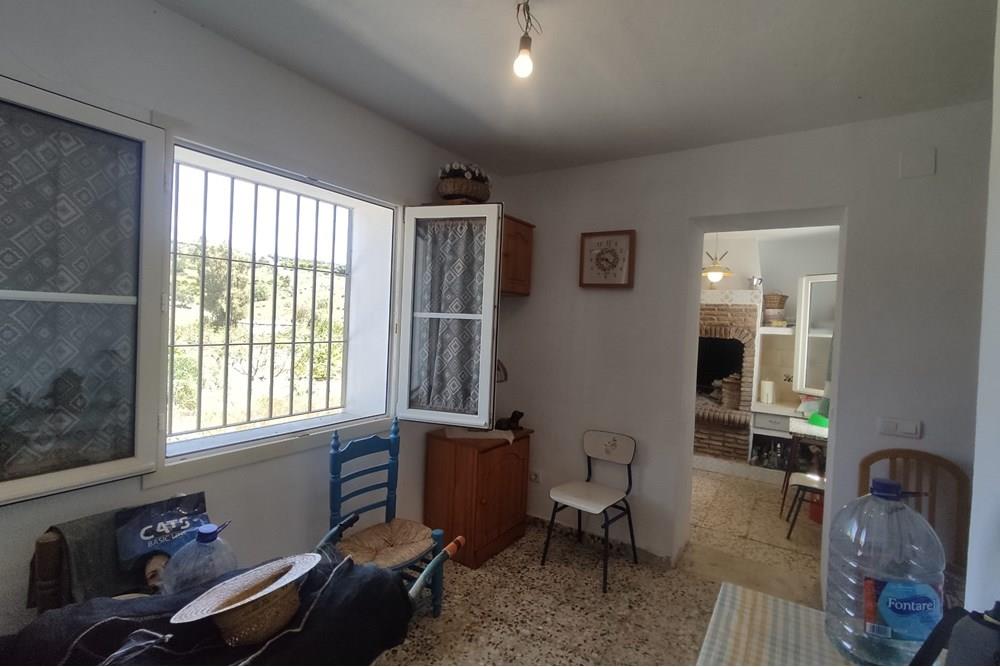 COIN | RUSTIC PROPERTY OF 38792 m2 WITH HOUSING AND PLANTATIONS OF ORANGE TREES, OLIVE TREES AND PECAN NUTS