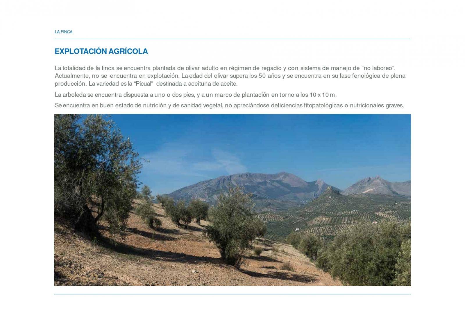 Country Property en venda in La Guardia de Jaén