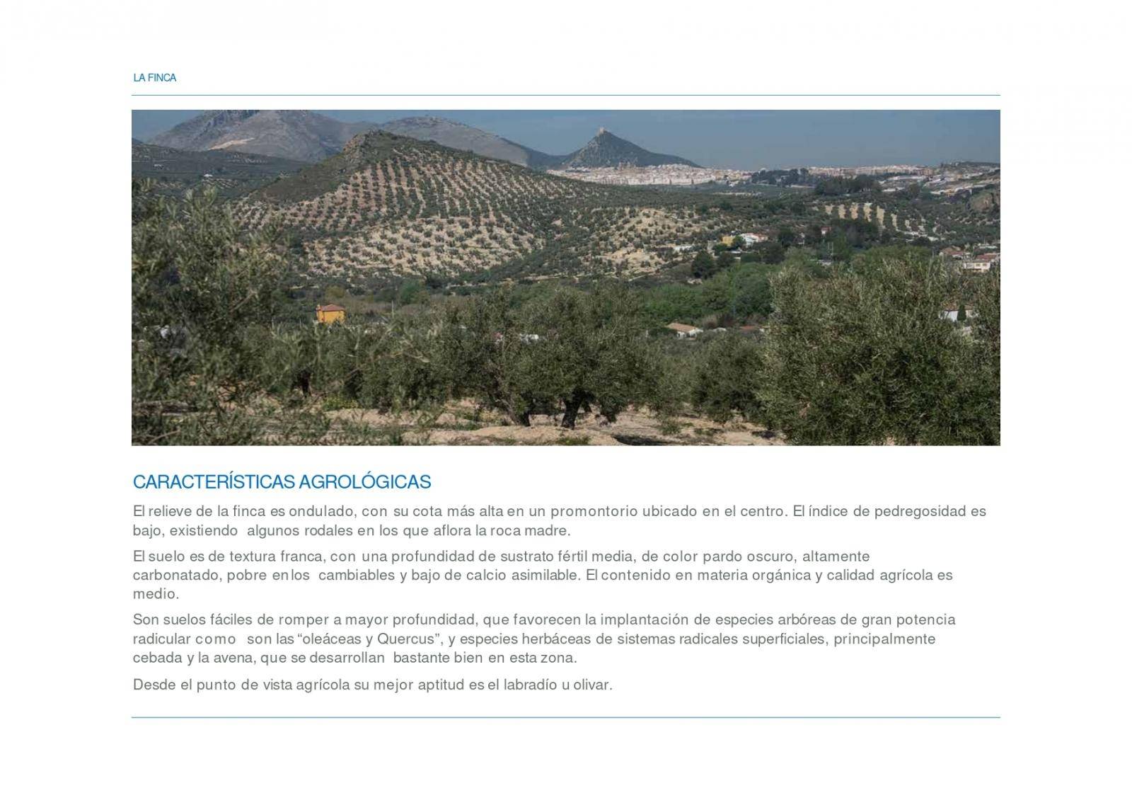 Country Property salgai in La Guardia de Jaén