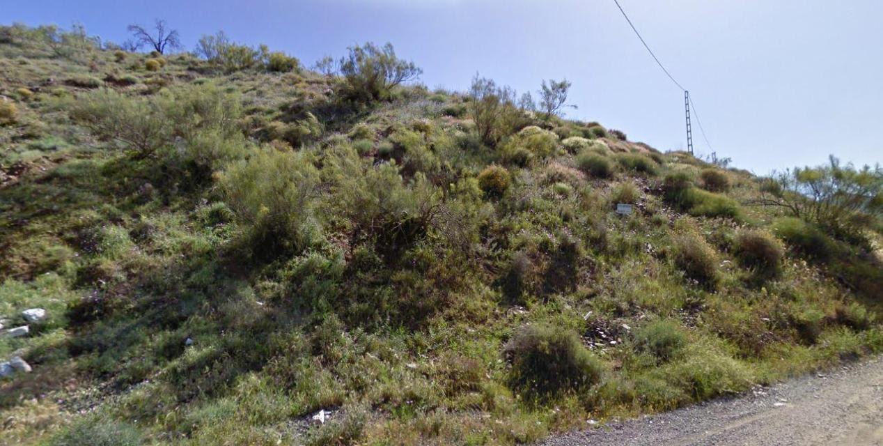 Rustic land for sale in Malaga
